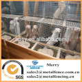 Galvanized square welded chicken/rabbit/mink cage wire mesh animal cage welded wire mesh